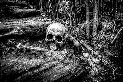 skull